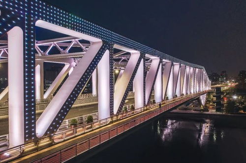 寧波三官堂大橋夜景照明工程